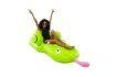 Picture of Giant Frog Pool Float