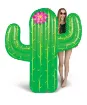 Picture of Giant Cactus Pool Float