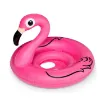 Picture of Pink Flamingo